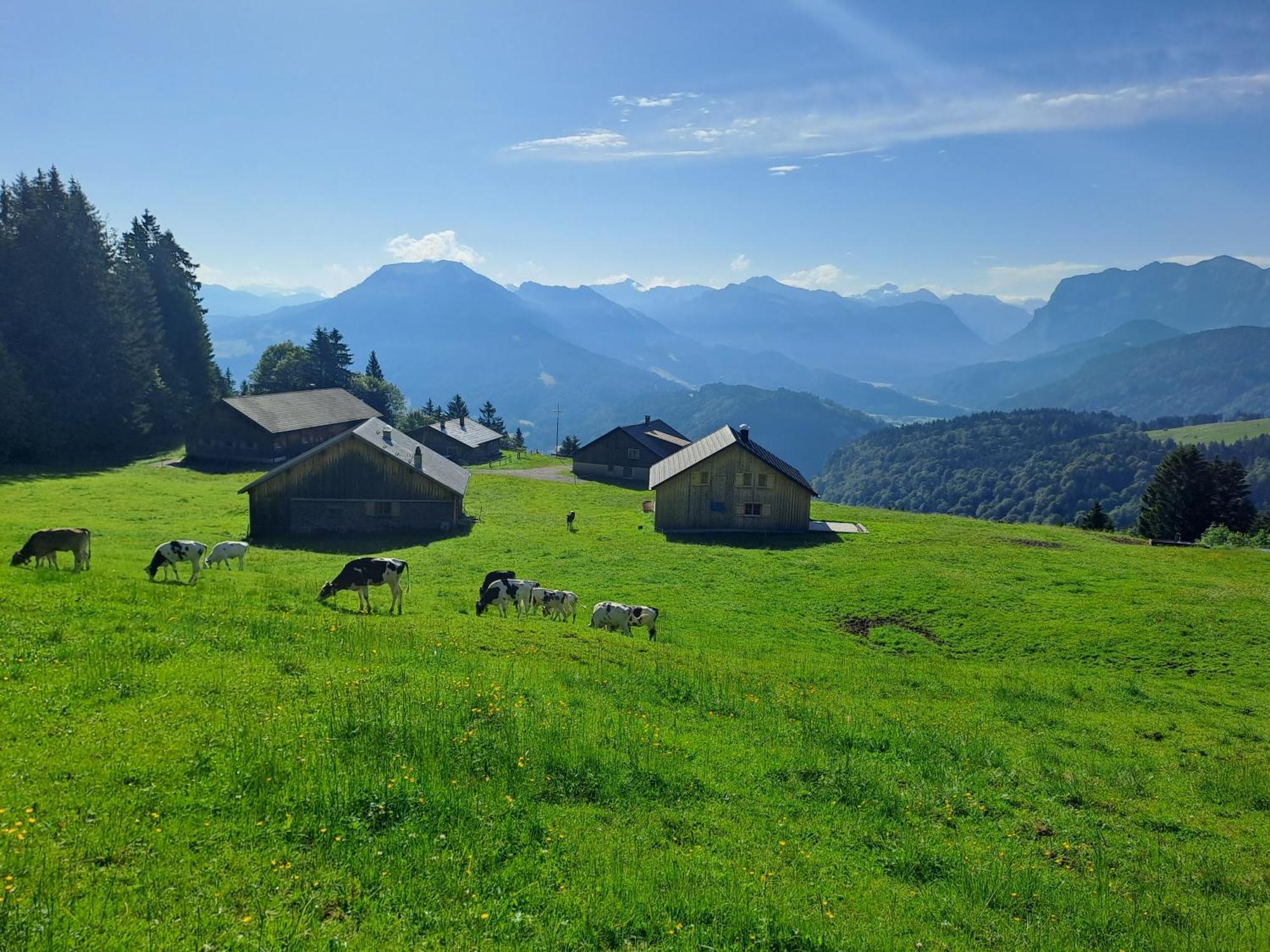 Neu Auszeit985 - Auszeit Mit Ausblick Apartman Schwarzenberg im Bregenzerwald Kültér fotó