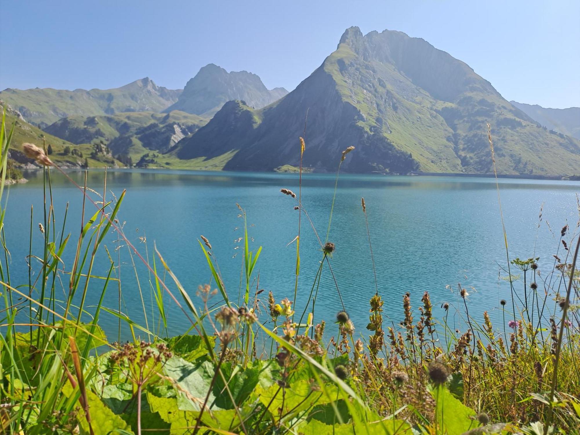 Neu Auszeit985 - Auszeit Mit Ausblick Apartman Schwarzenberg im Bregenzerwald Kültér fotó